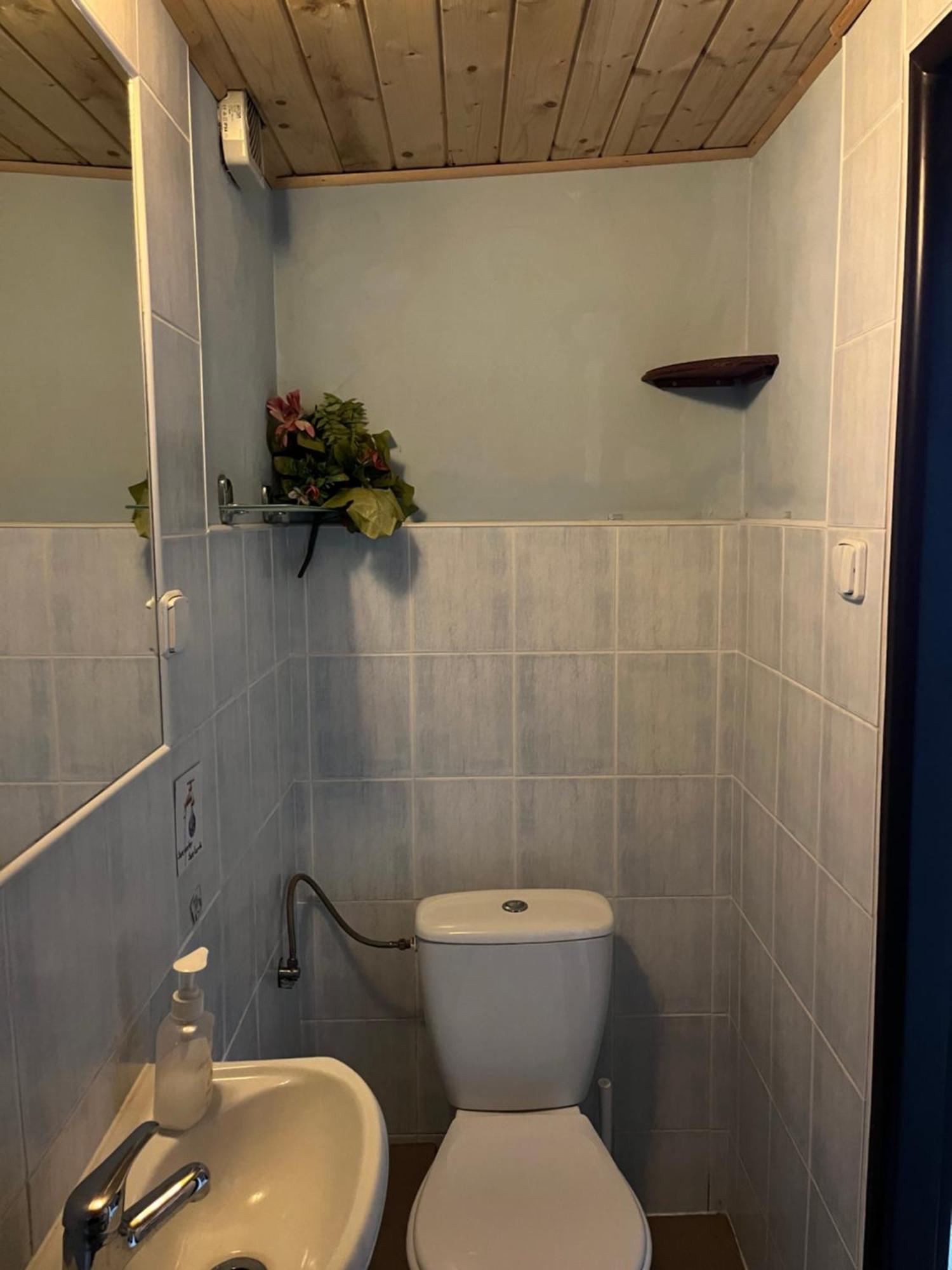 Liptovský Mikuláš Mikulas Guest House מראה חיצוני תמונה
